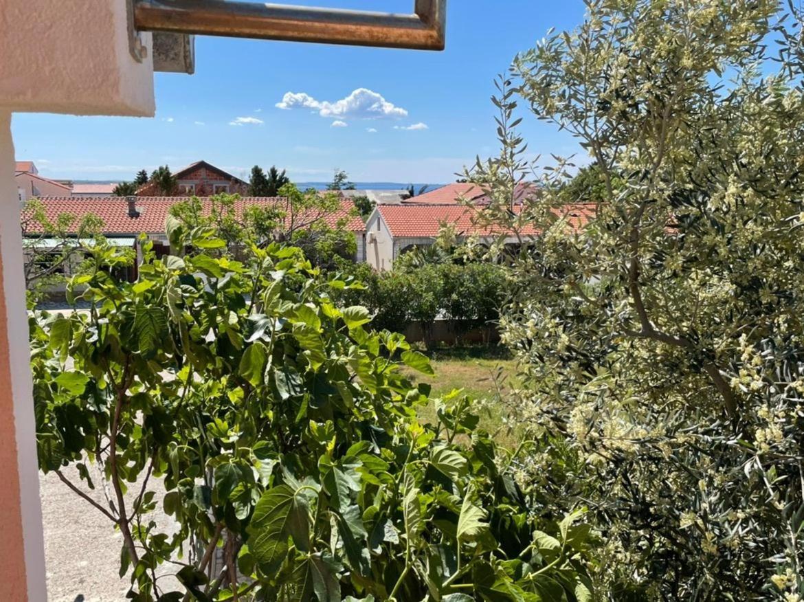Apartment Zdenka Vir Esterno foto